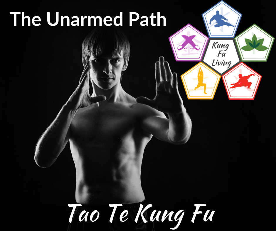 Kung Fu Living unarmed path. man in kung fu stance