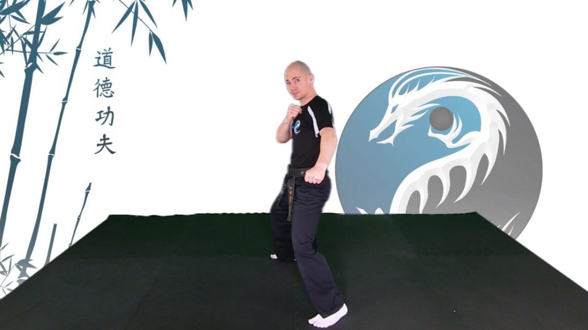 man doing drop punch kung fu living video - learn kung fu at home