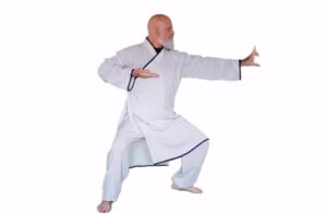 man doing chi kung archer in kung fu living video - learn kung fu online
