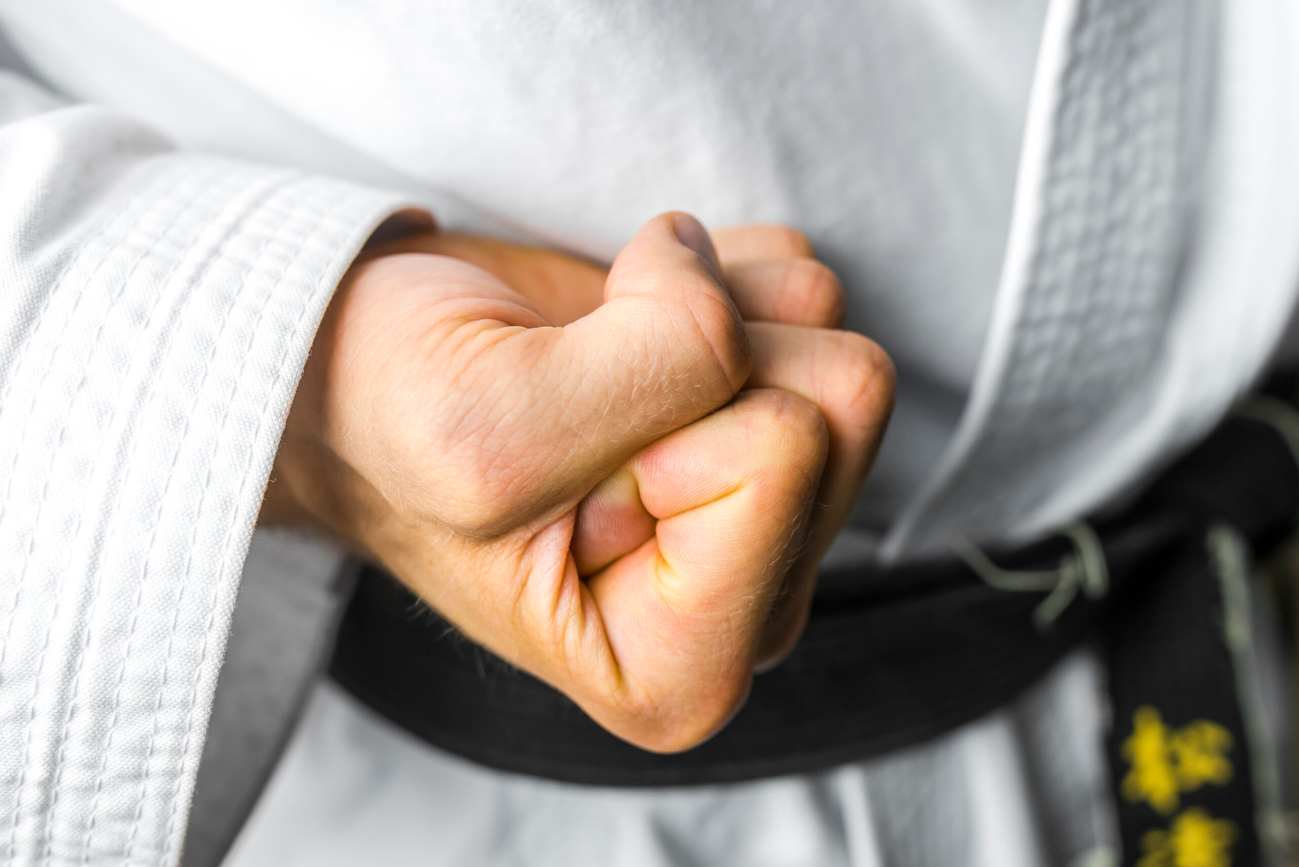 martial artist holding fist tight ready for karate punch - learn kung fu online