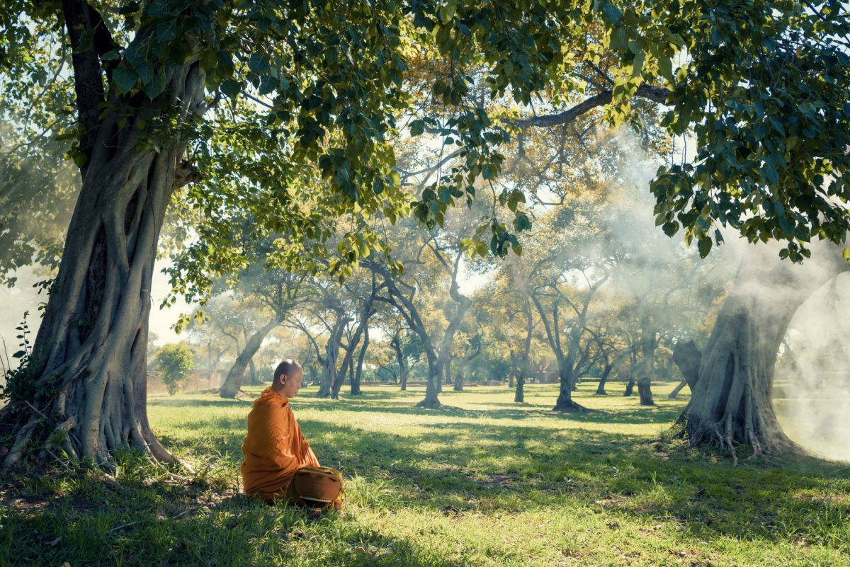 Asian monk under a tree, meditating in area around wilderness - learn kung fu online