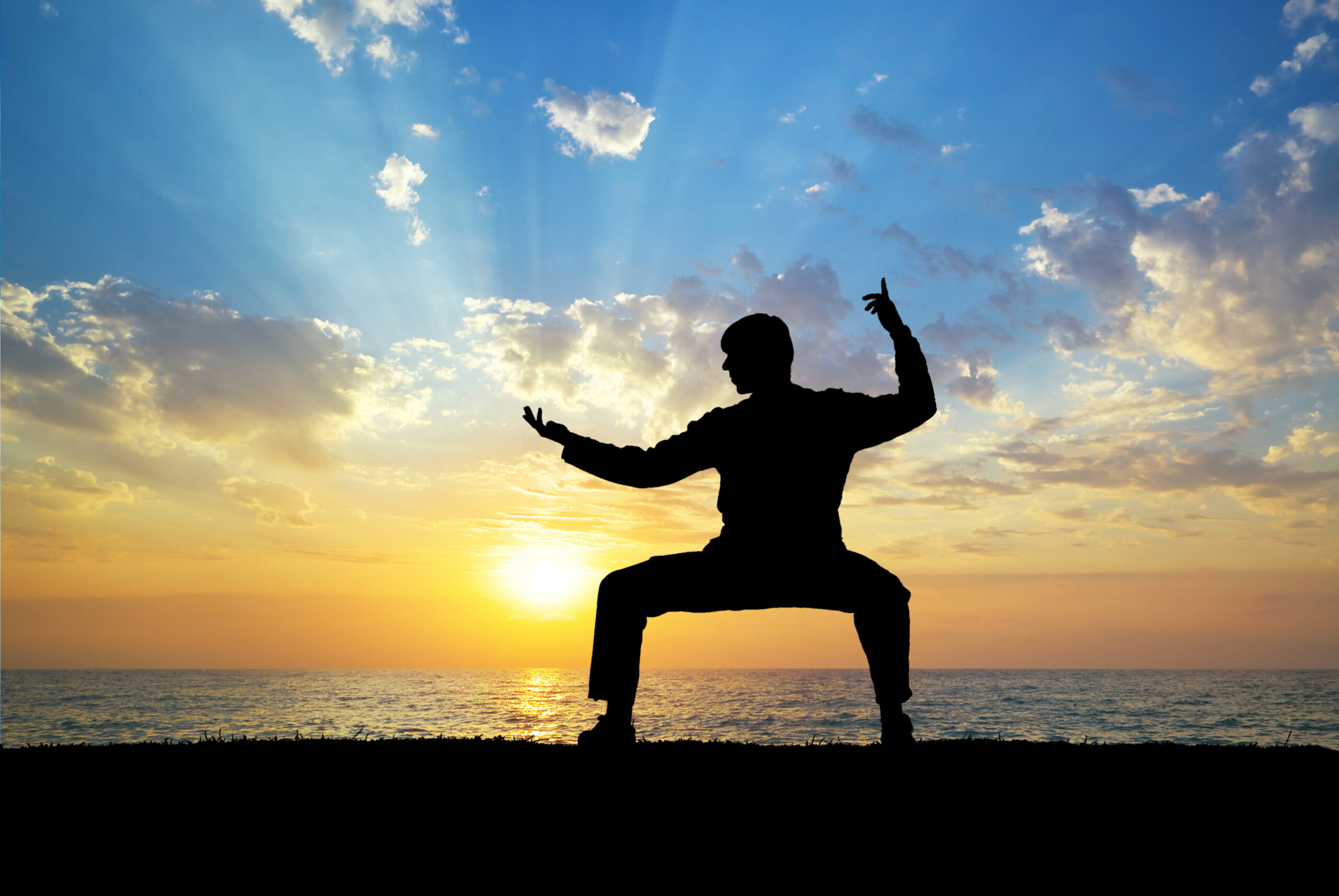 martial artist doing kung fu on beach sunset - learn kung fu online