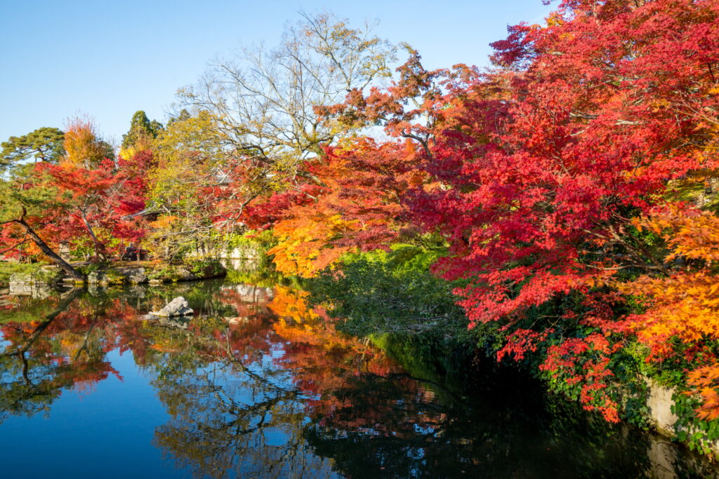 autumn trees over water - learn kung fu online