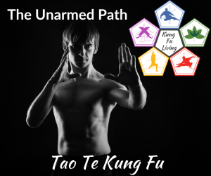 Kung Fu Living unarmed path. man in kung fu stance