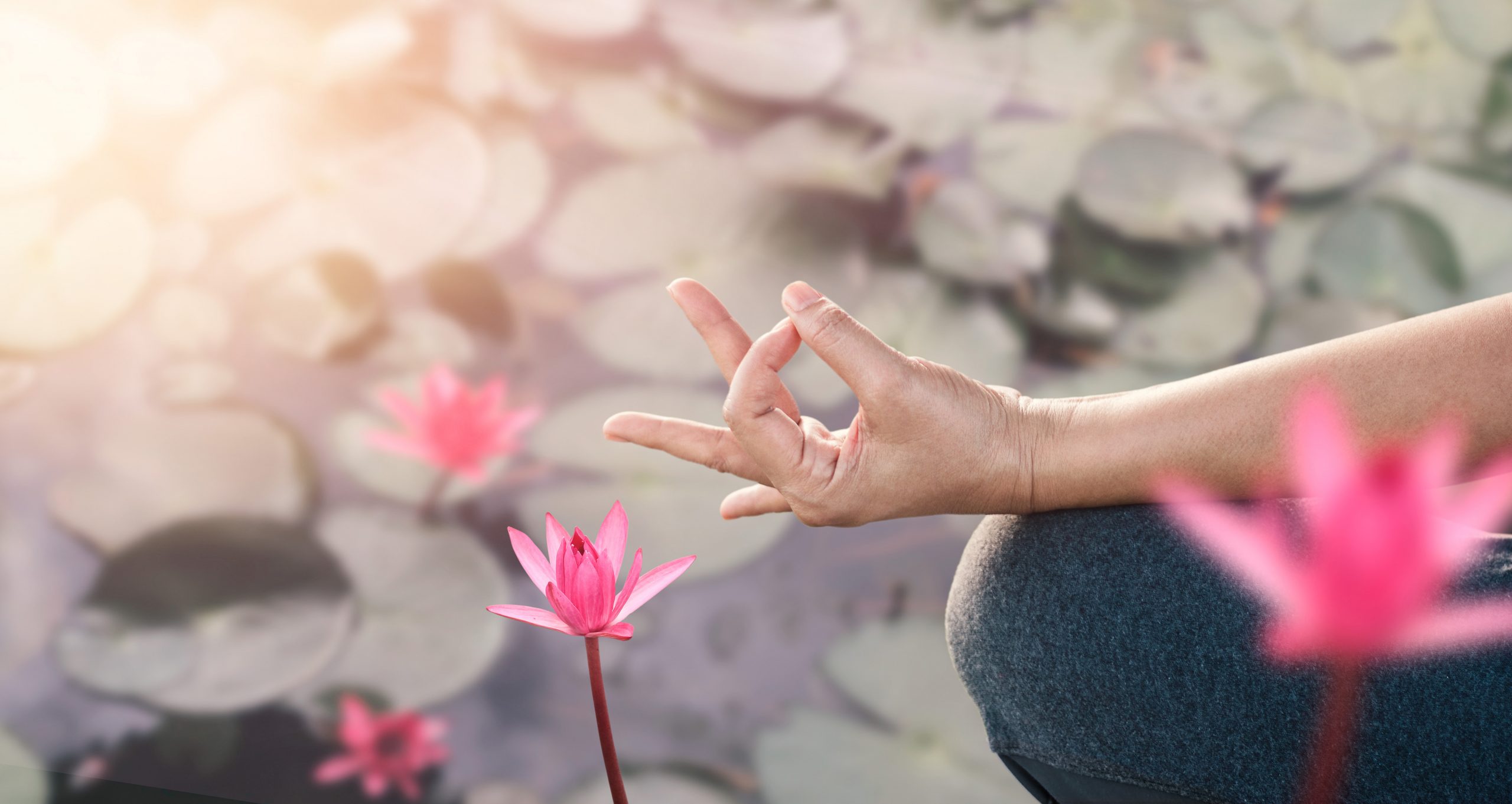 Woman yoga practicing and meditating by the red lotus lake background