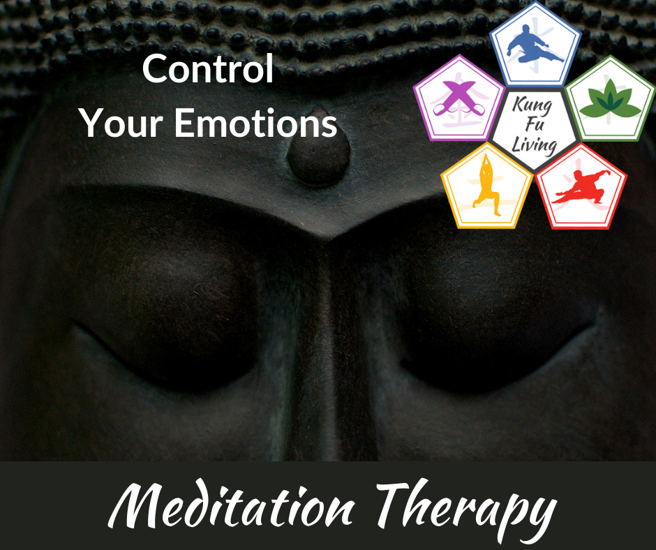 control your emotions 10 day meditation therapy course