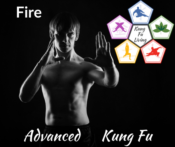 Advanced Unarmed Kung Fu Fire Module Course