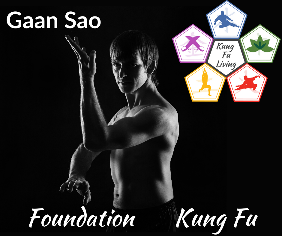 Foundation Unarmed Kung Fu Gaan Sao Module Course