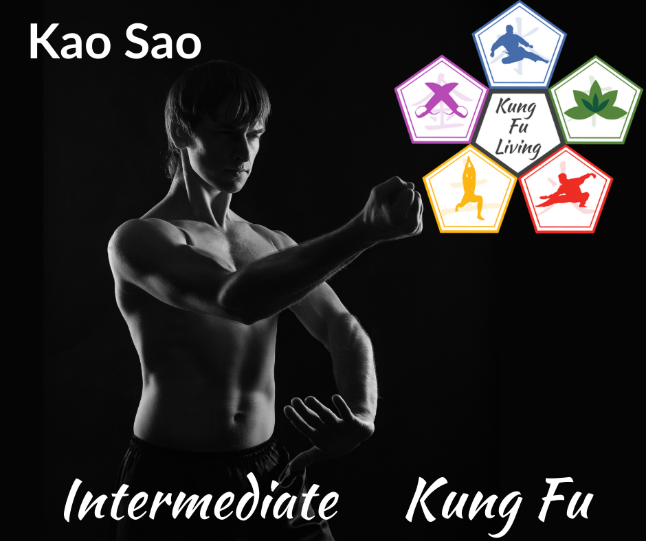 Intermediate Unarmed Kung Fu Kao Sao Module Course