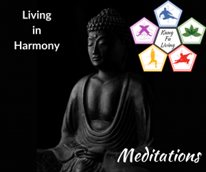 Living in harmony meditation path section