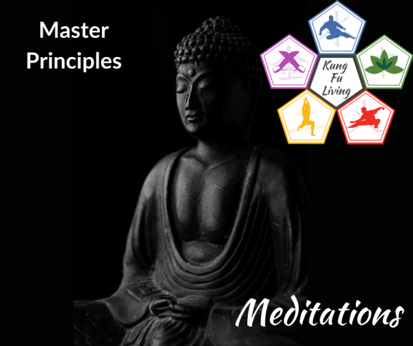 Master principles online meditation course