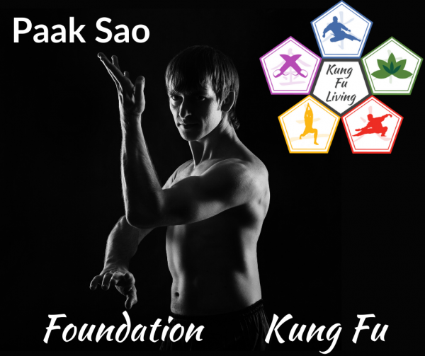 Foundation Unarmed Kung Fu Paak Sao Module Course