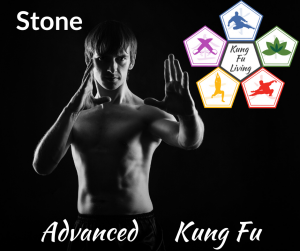 Advanced Unarmed Kung Fu Stone Module Course
